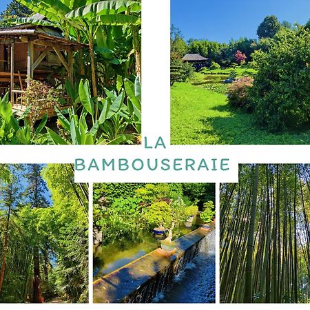 Gite Proche De La Bambouseraie Boisset-et-Gaujac Экстерьер фото